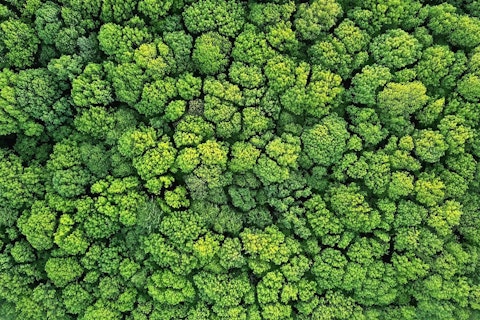 „Ziemianie atakują! Nowe Narracje” to projekt wspierany przez SGS Polska, w ramach którego powstaje seria poradników nt. komunikacji o kryzysie klimatycznym.